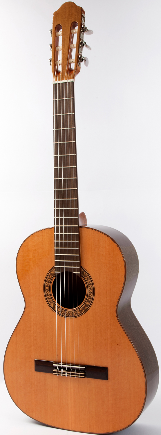 Raimundo 118 Cedar